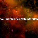 Question : Que faire des restes de ratatouille ?